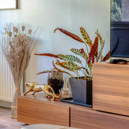 Apartamento Archiduck Votre Maison Terrasse Parking