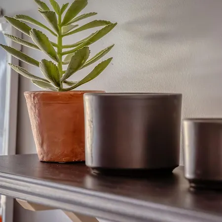 Apartamento Archiduck Votre Maison Terrasse Parking
